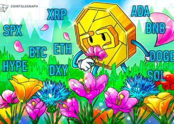 Bitcoin Liquidations Hit 1-Year Record, Altcoins Follow