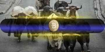 Bitcoin Price Reclaims $112K as Bull Market Sentiment Returns