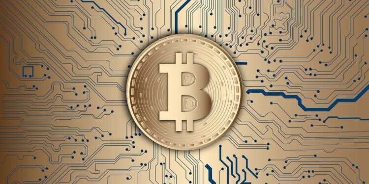 How Do Traders Make Money in Crypto Even in a Blood Market?