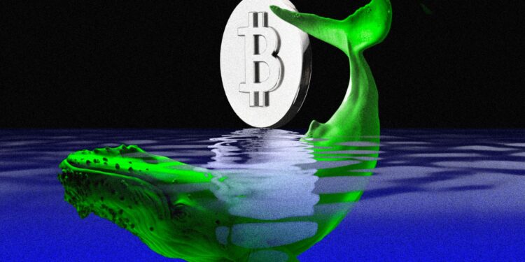 Major Bitcoin Whale Offloads $3.4 Billion
