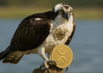 REX-Osprey to debut first XRP ETF in the US this week