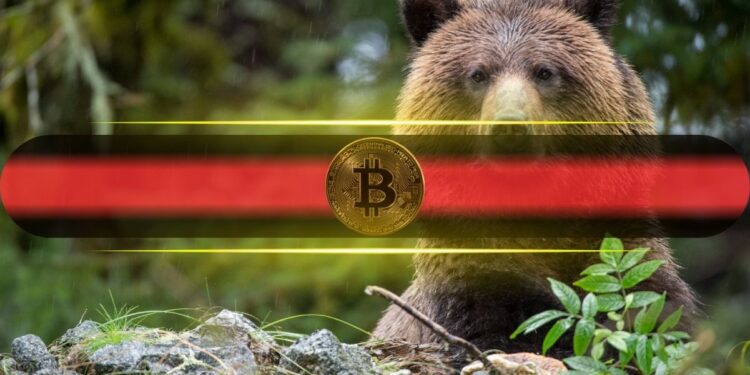 $1.15B in Options Signal Growing Risk