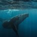 Bitcoin whale deposits $40M USDC into Hyperliquid to boost BTC short position