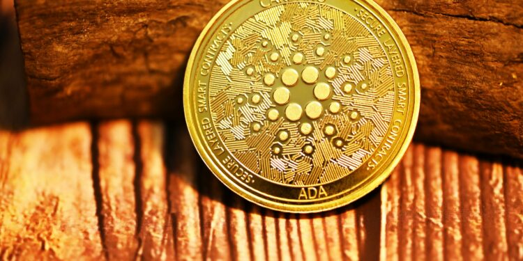Cardano