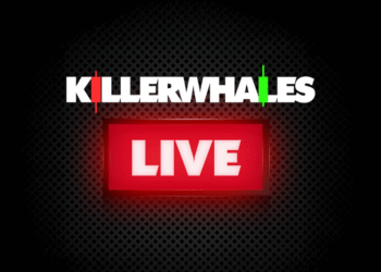 HELLO Labs Launches 'Killer Whales