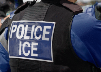 'Nothing Illegal': Creator of ICE Tracking App Plans Legal Action After Apple Removal