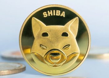 Shiba Inu forecast as bulls eye breakout after deep accumulation