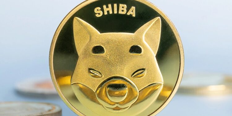 Shiba Inu forecast as bulls eye breakout after deep accumulation