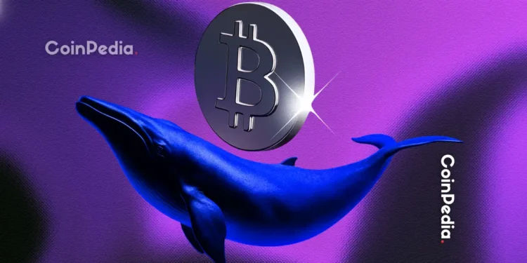 Coinpedia - Fintech & Cryptocurreny News Media
