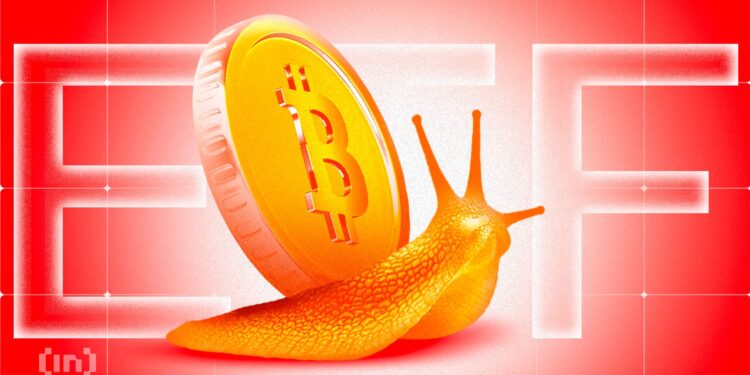 Bitcoin ETF Outflows Persist: Whales Feast and Retail Vanishes