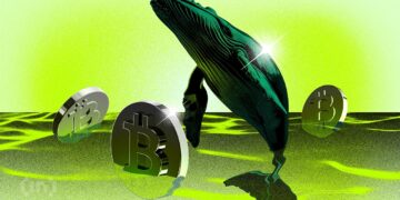 Bitcoin Whales Move Again, What Are They Seeing That We Don’t?