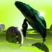 Bitcoin Whales Move Again, What Are They Seeing That We Don’t?