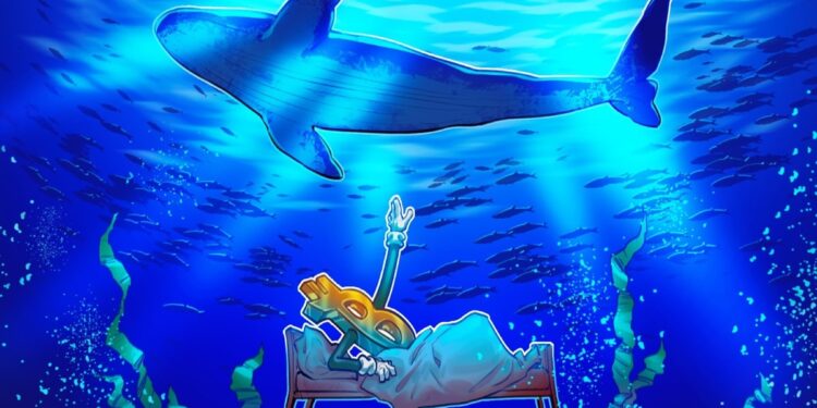 Whales Selling Behavior Could Mean It’s Late in the Cycle