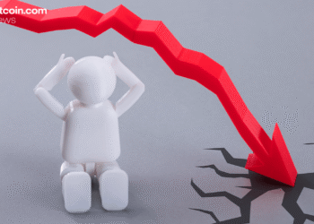 ‘Max Pain and Max Fear’: High-Risk Crypto Whale James Wynn Predicts Historic Market Crash