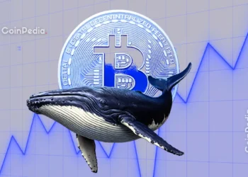 Is BTC Ready for Rebound?