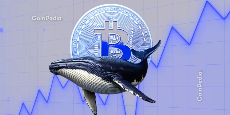 Is BTC Ready for Rebound?