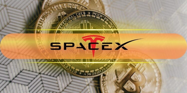 SpaceX, BlackRock Shift $296M in Bitcoin: Sell-Off Signal Ahead?