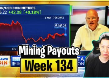 Weekly Mining Payouts 8/8/22 | Week 134