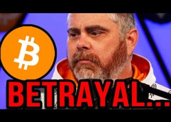 BITBOY BETRAYED BY HIS TEAM… Fired from his own company, what happened?! Programmer explains