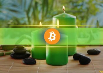 Bitcoin Cycle Shift? Analyst Puts 55–65% Odds on Green 2026