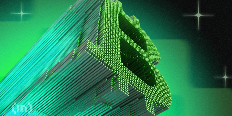 Bitcoin Whales Return as Bull Market Enters Third Phase