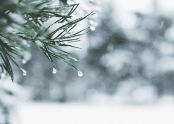 Crypto Trading Activity Hits Yearly Lows as Holiday Lull Freezes Markets