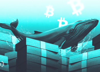 What Does Smart Money Accumulation Mean for Bitcoin’s Price?
