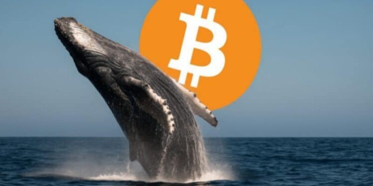 Bitcoin whale Garrett Jin sends $761 million in BTC to Binance