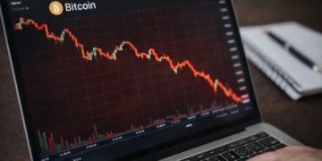 bitcoin trading chart goes down