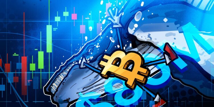 $80M Hyperliquid Whale Bet Predicts Bitcoin Crash and Oil Rally