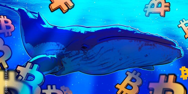 Bitcoin Eyes $90K As Whales Devour 20x Daily BTC Supply In Just 30 Days
