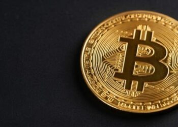 Elon Musk animates Bitcoin waifu after viral fan art request