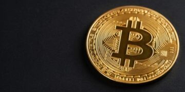 Elon Musk animates Bitcoin waifu after viral fan art request