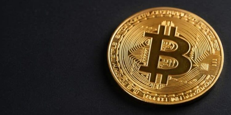 Elon Musk animates Bitcoin waifu after viral fan art request