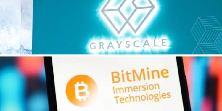 Grayscale, Bitmine stake nearly $500 million in Ethereum: On-chain data