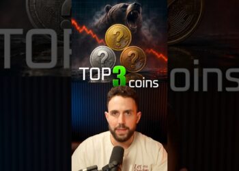 Altcoins That Survive EVERY Bear Market
