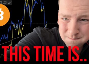BITCOIN: What’s next? 2022 comparison (stocks and commodities)