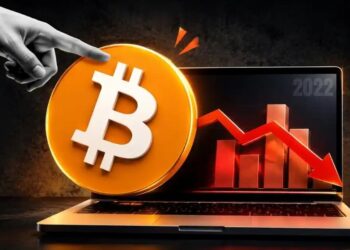 Is This a Dead Cat Bounce Before the Next Breakdown?
