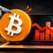 Is This a Dead Cat Bounce Before the Next Breakdown?
