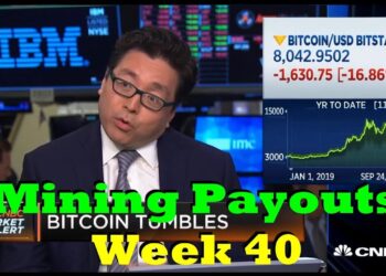 Week 40 – Mining Payouts 10/06/19