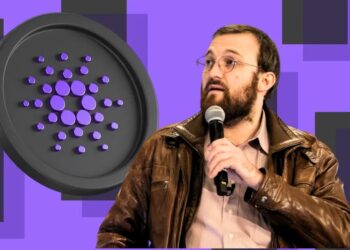 Where Did Cardano's 1,096 Bitcoin Go? Hoskinson Respond