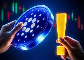 Analyzing the Current Market Situation