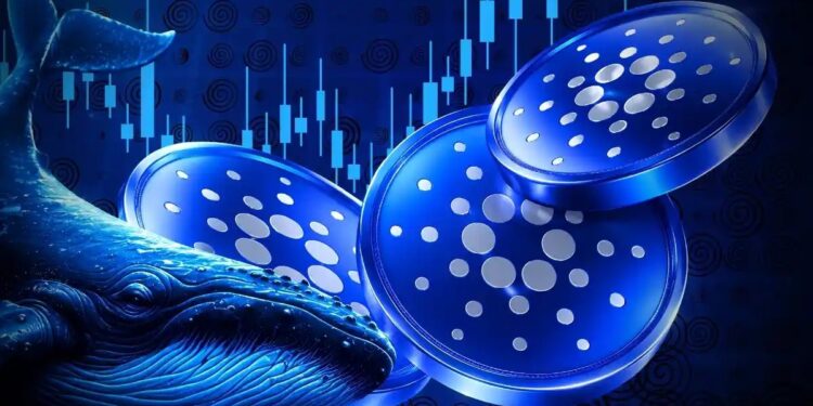 Cardano Upgrades and Future Prospects Explained