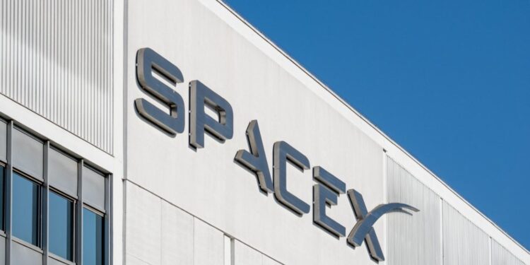 Cathie Wood Says SpaceX Could Become 'the Most Important Company in History' Despite 48% Stock Slide
