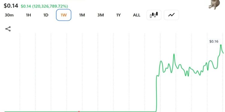 This Trader Sold His CASHCAT for $711 Instead of Retiring: Here's the Math
