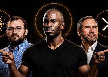 What Hayes and Hoskinson Are Missing About Ripple