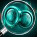 XPL Price Jumps 21% as Plasma Activity Explodes