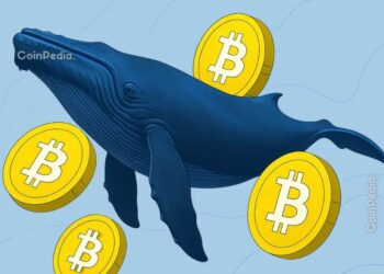 Bitcoin Price Faces a Familiar Trap as Whales Start Selling