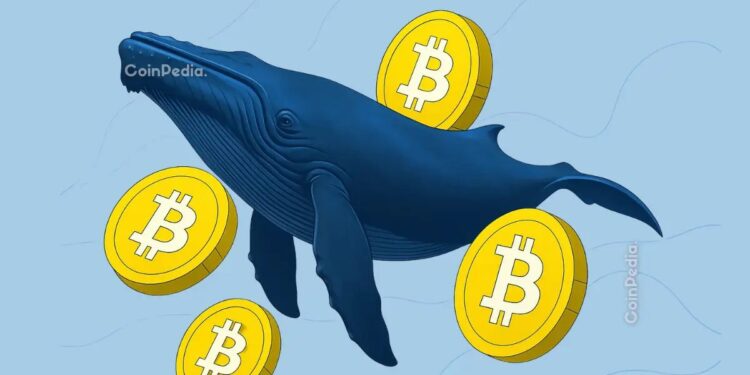 Bitcoin Price Faces a Familiar Trap as Whales Start Selling