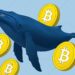 Bitcoin Price Faces a Familiar Trap as Whales Start Selling